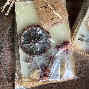 PIER 1 IMPORTS FALL BOTANICS FRAGRANCE WAX SACHET NEW (1 SACHET)